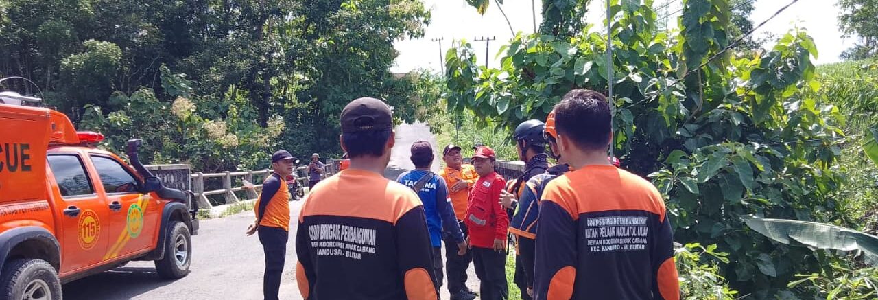 WhatsApp Image 2026-02-20 at 17.24.41